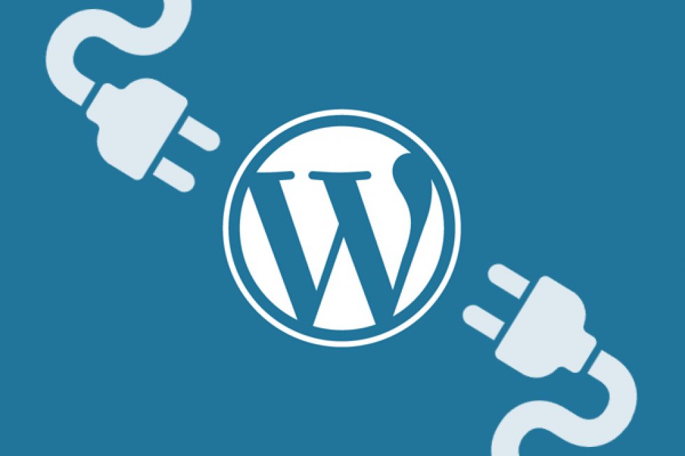 Wordpress 10